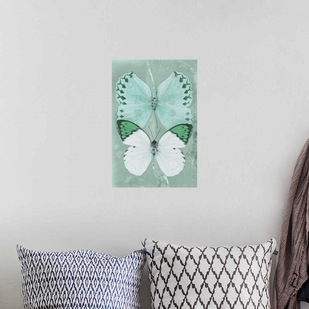 A bohemian room featuring Two butterflies overlaid on a coral green sparkly background.