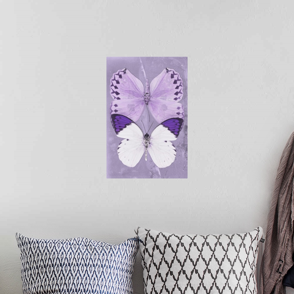 A bohemian room featuring Two butterflies overlaid on a purple sparkly background.