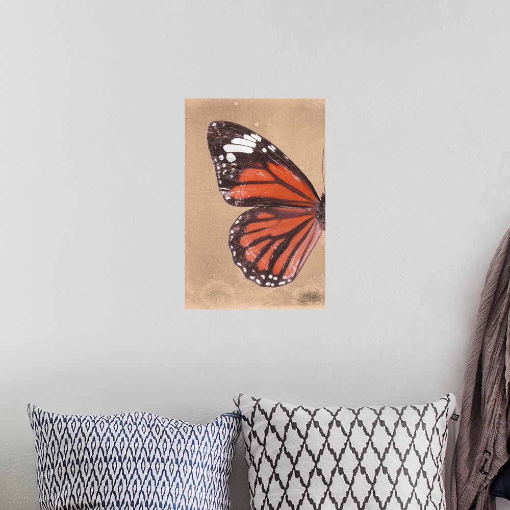 A bohemian room featuring Half of a butterfly on an orange sparkly background.
