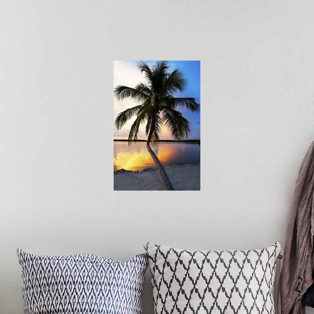 A bohemian room featuring A silhouetted palm tree stretching out over the ocean at dusk.