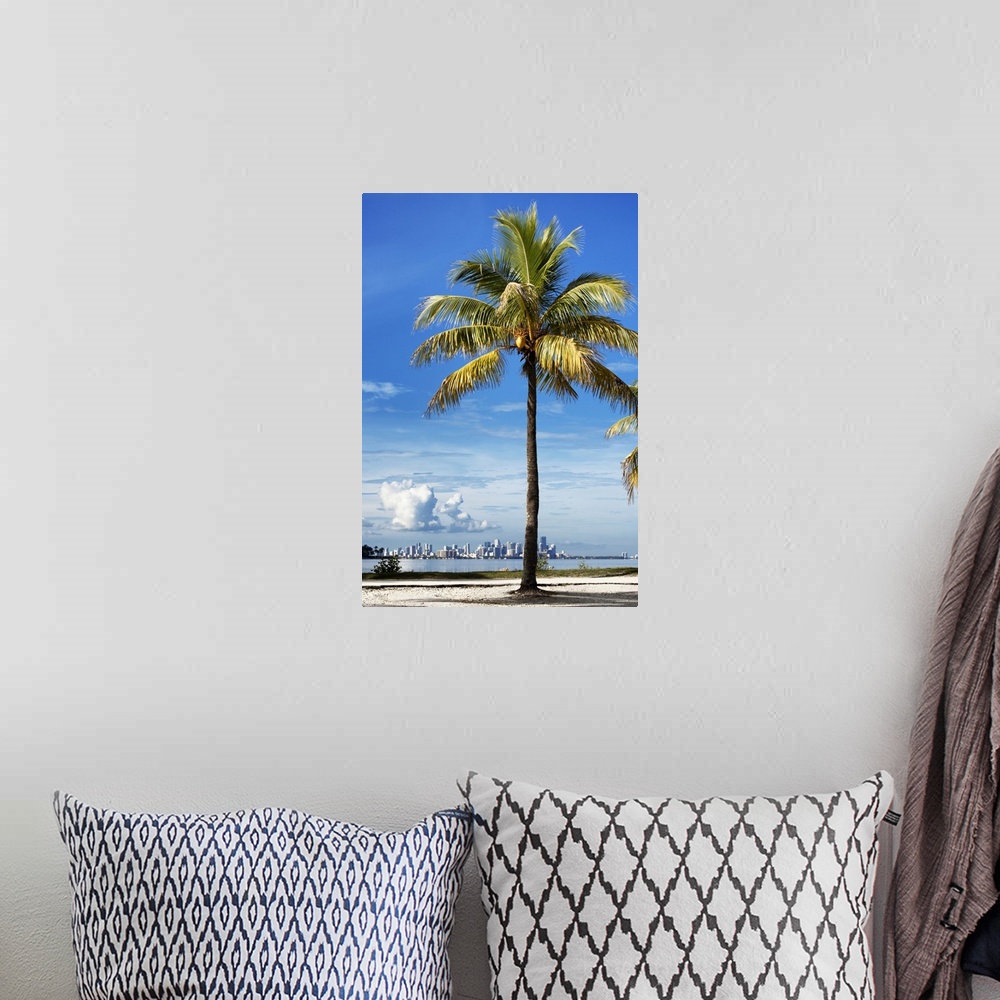 A bohemian room featuring A palm tree on the coast with the city of Miami in the distance.