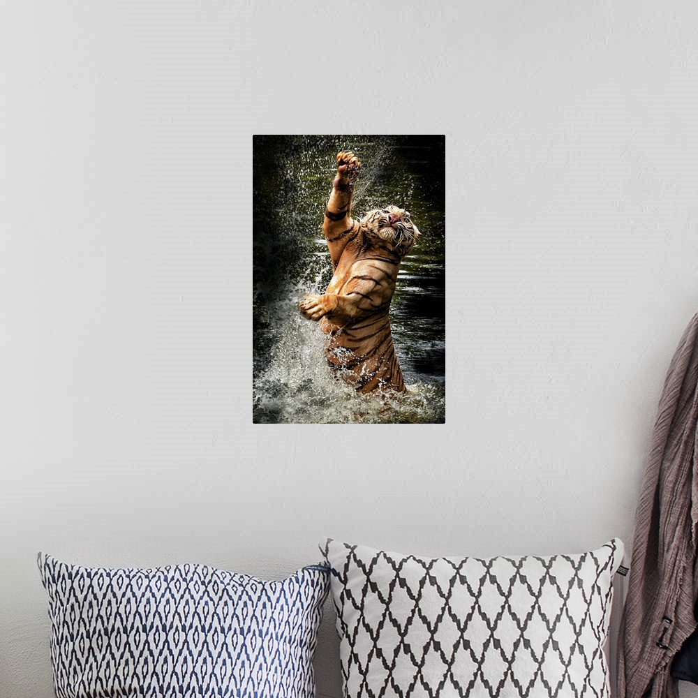 A bohemian room featuring Photograph of a tiger leaping from shallow water and splashing it up all around.