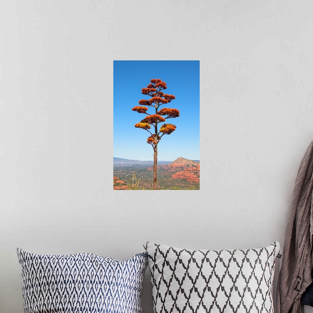 A bohemian room featuring Landscape photograph of red sandstone formations in the distance and an agave flower tree in the ...