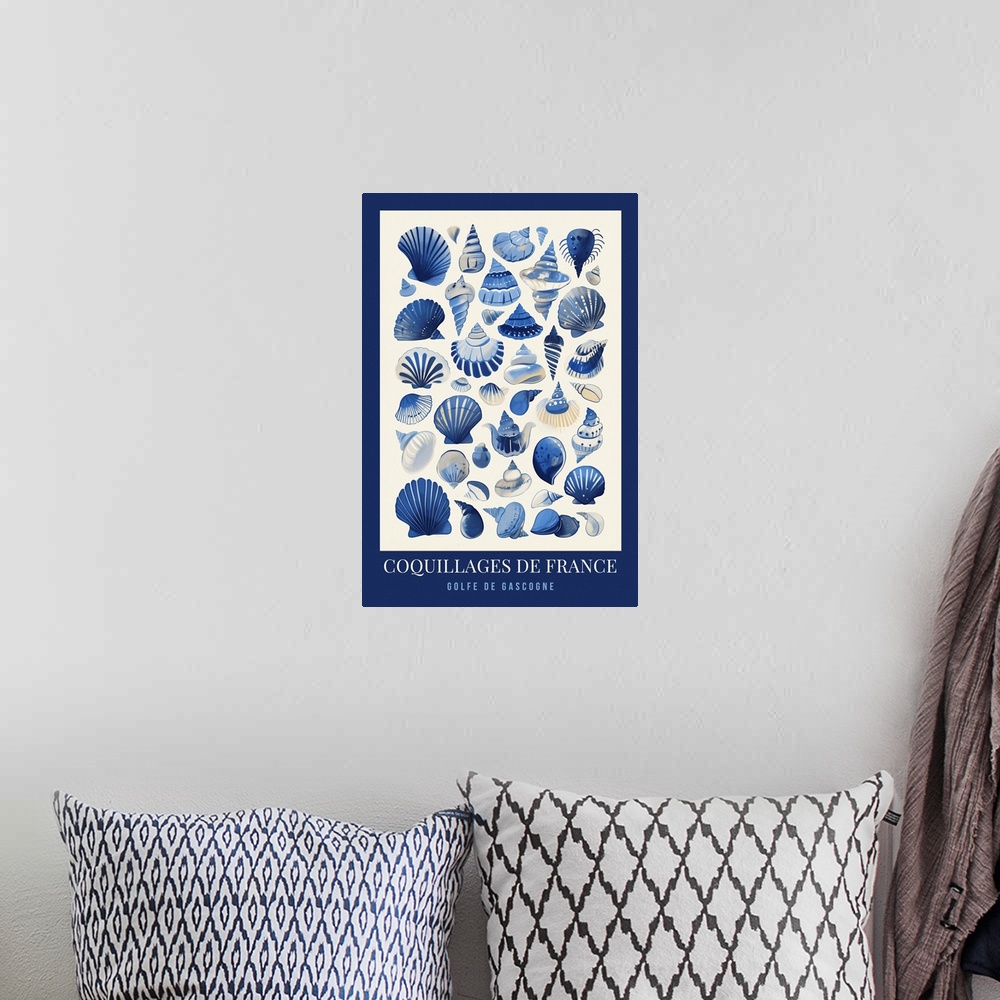 A bohemian room featuring Exhibition Poster - French Sea Shells Dark