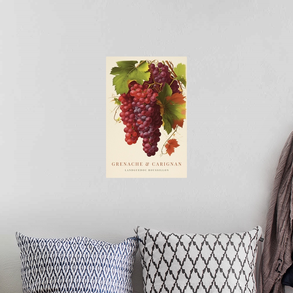 A bohemian room featuring Grenache And Carignan - Retro Wine Advertising Poster