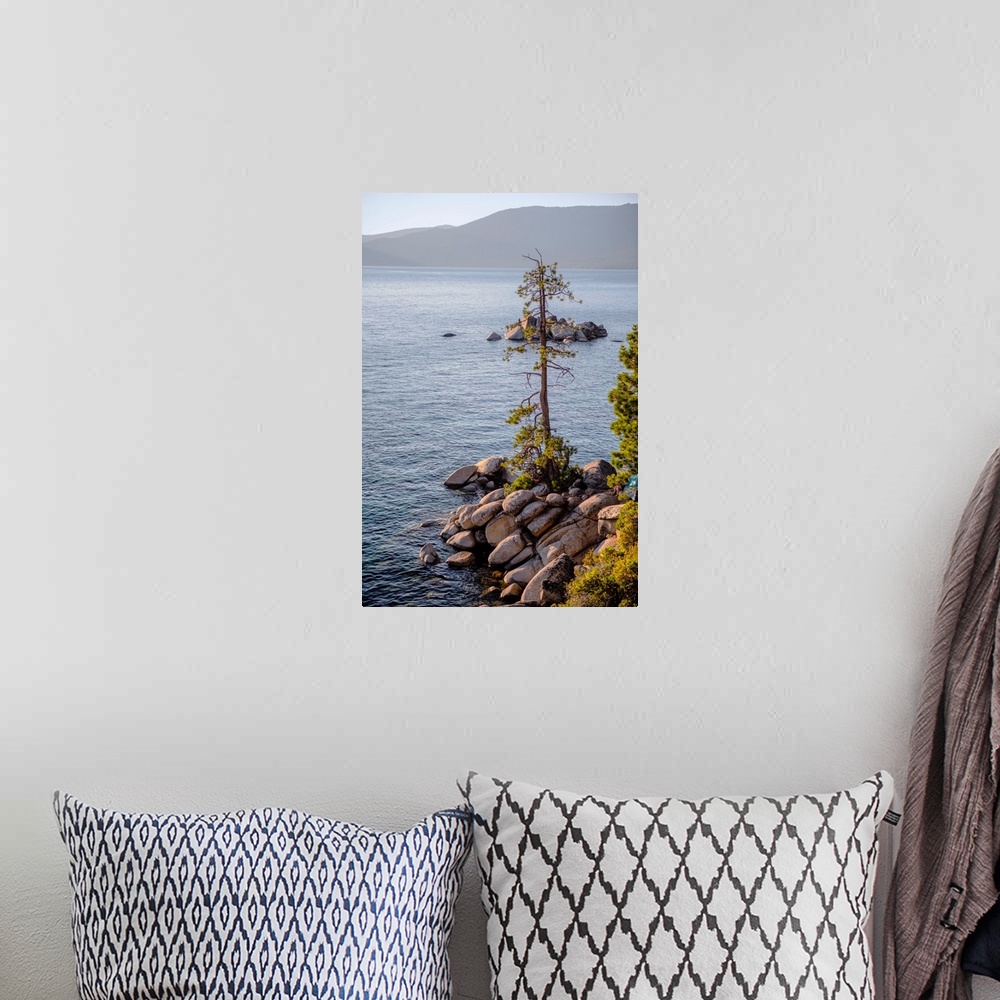 A bohemian room featuring A lone tree has grown out of rocky shore at Lake Tahoe in California and Nevada.