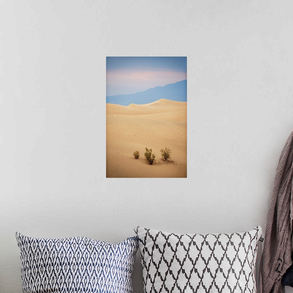 A bohemian room featuring View of crescent dunes in Mesquite Flat Sand Dunes of Death Valley, California.