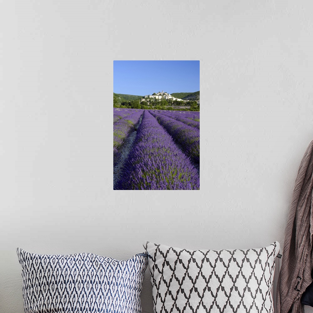 A bohemian room featuring A field of lavender below the town of Banon, Provence, France, Europe