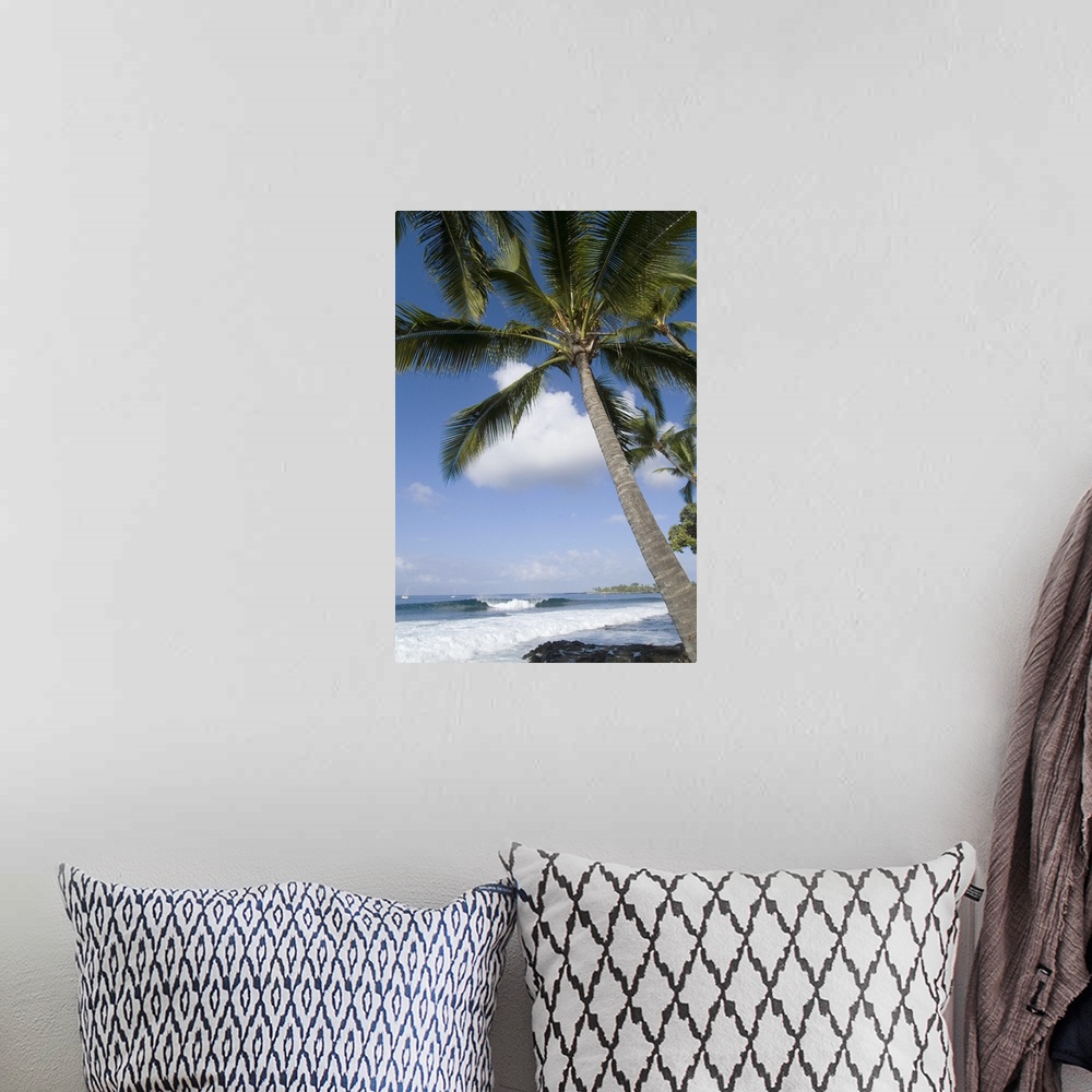 A bohemian room featuring Beach at Kailua-Kona, Island of Hawaii (Big Island), Hawaii, USA