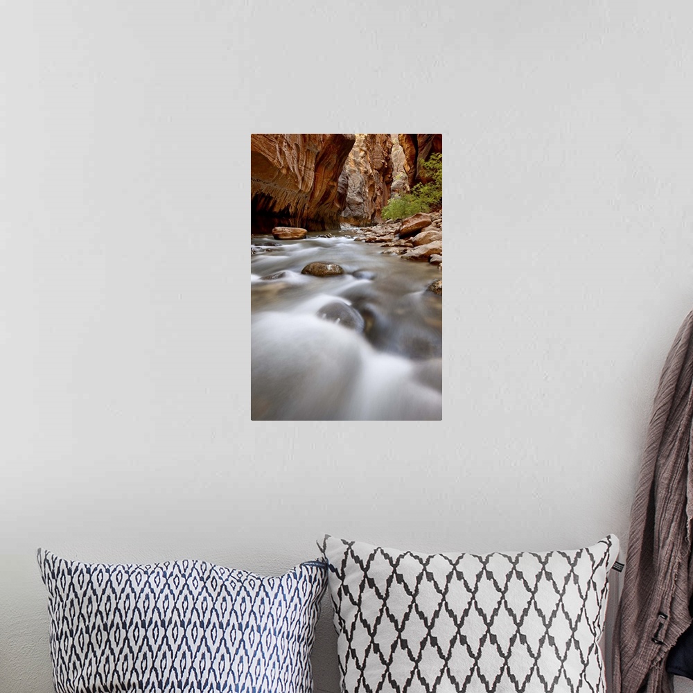A bohemian room featuring Cascade in The Narrows of the Virgin River, Zion National Park, Utah