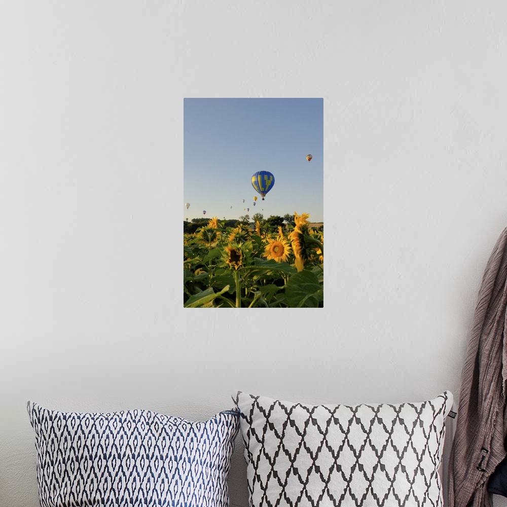 A bohemian room featuring Hot air ballooning over fields of sunflowers in the early morning, Charente, France