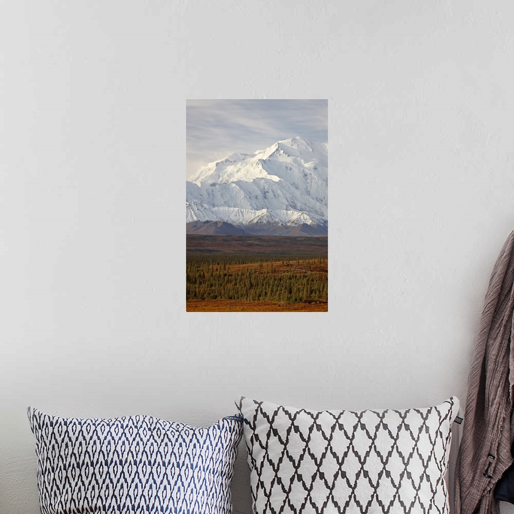 A bohemian room featuring Mount McKinley (Mount Denali), Denali National Park and Preserve, Alaska