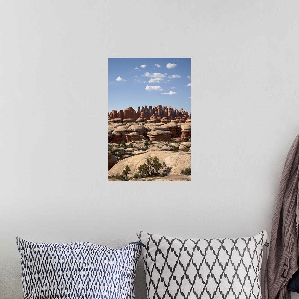 A bohemian room featuring Needles near Elephant Hill, Canyonlands National Park, Utah