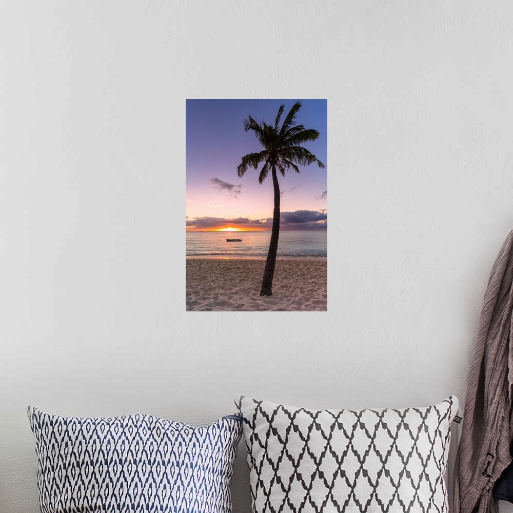 A bohemian room featuring Palm tree on tropical beach during sunset, Le Morne Brabant, Black River district, Mauritius, Ind...