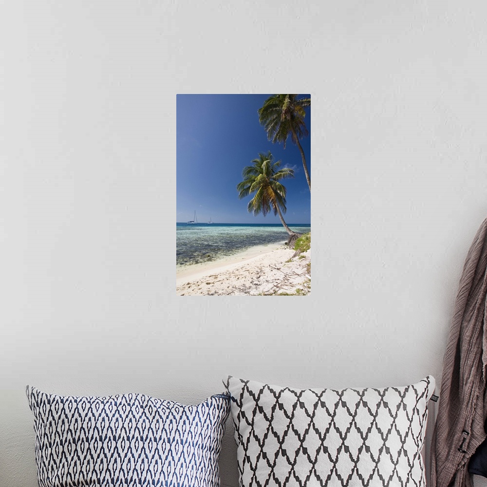 A bohemian room featuring Palm trees on beach, Silk Caye, Belize, Central America