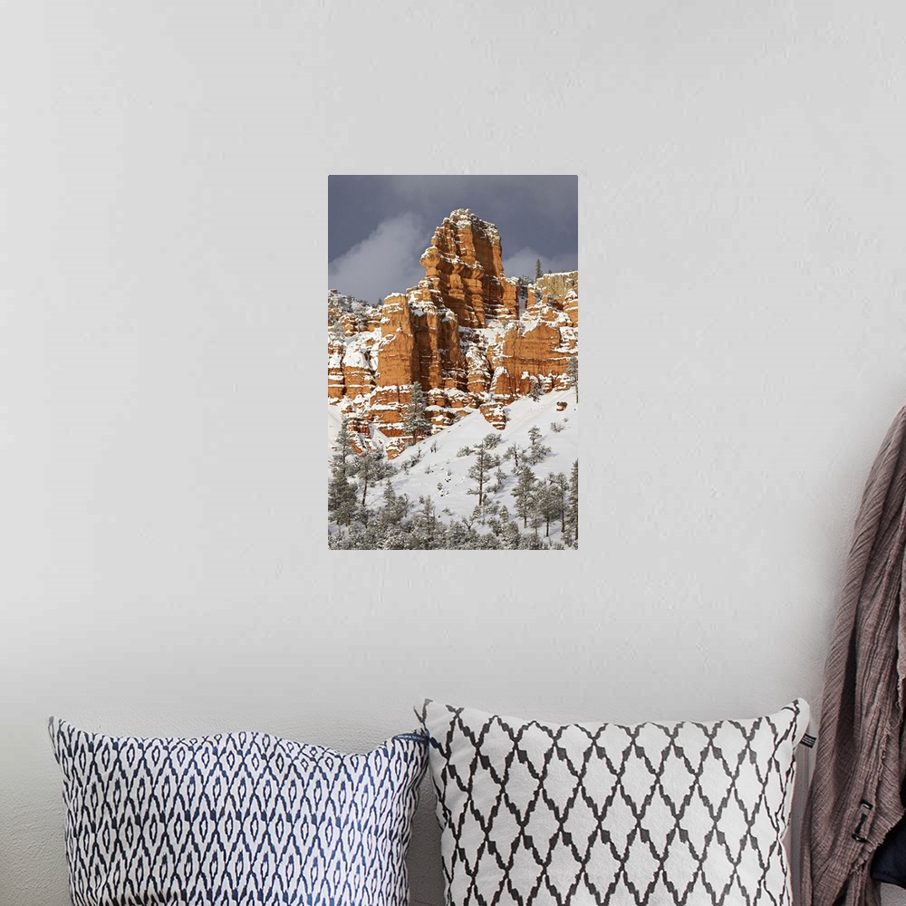 A bohemian room featuring Red rock formations, Red Canyon, Dixie National Forest, Utah