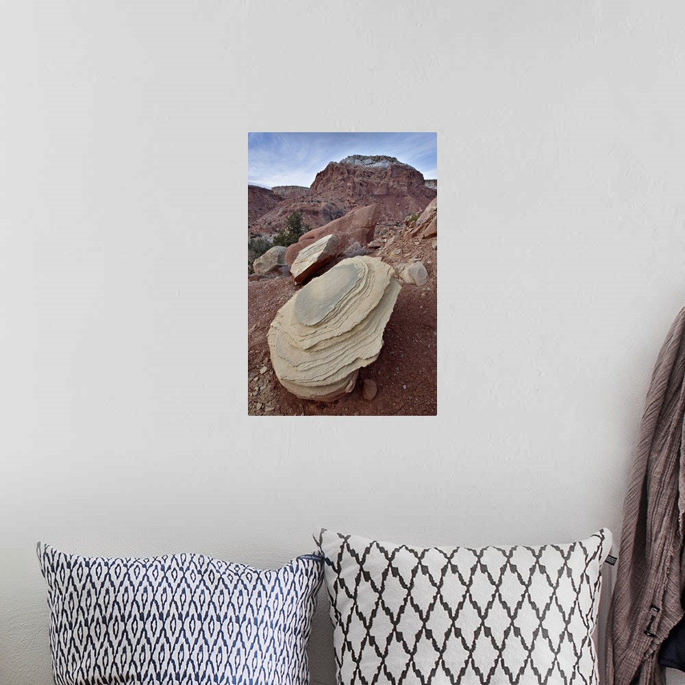 A bohemian room featuring Tan sandstone boulder among red rocks, Carson National Forest, New Mexico