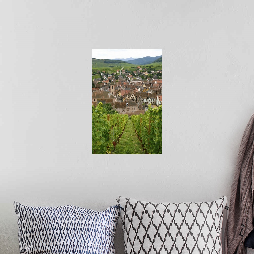 A bohemian room featuring View over the village of Riquewihr and vineyards in the Wine Route area, Alsace, France