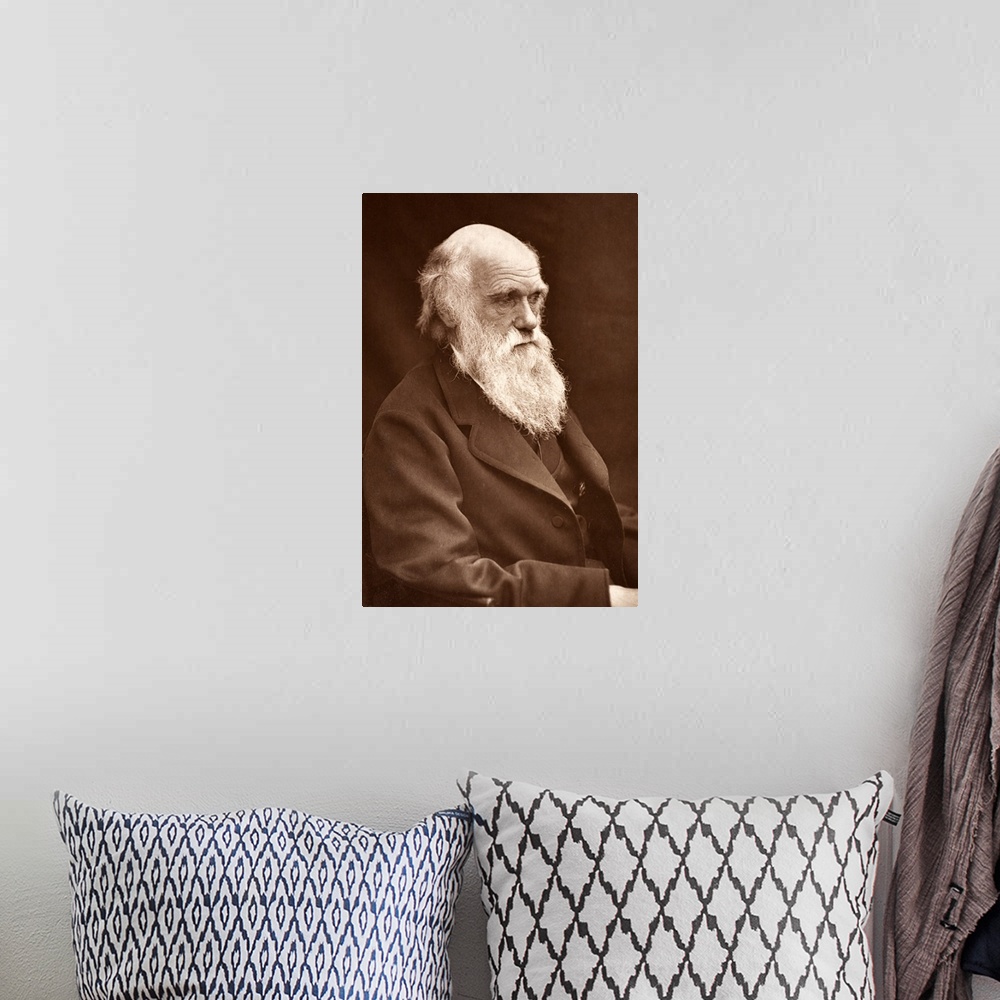 A bohemian room featuring Photograph of Charles Darwin taken by his son Leonard around 1874 when Darwin was in his mid sixt...
