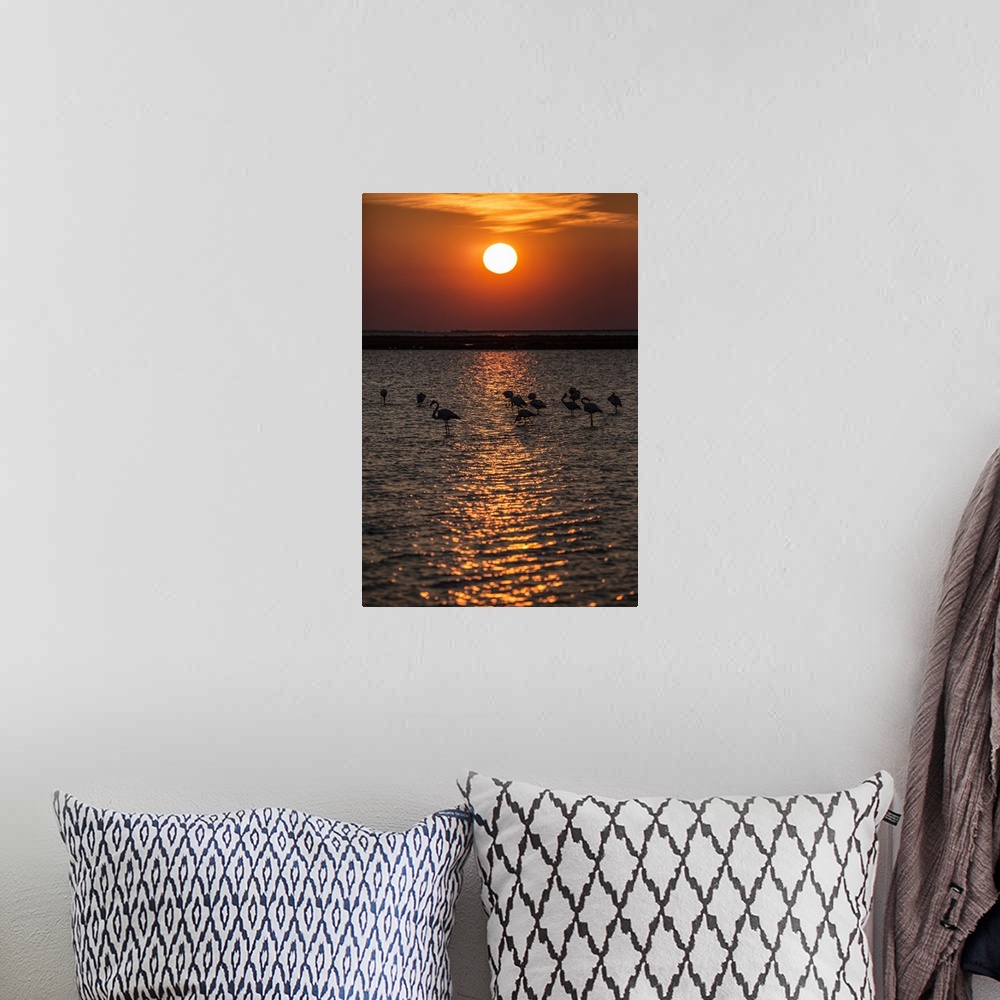 A bohemian room featuring Flamingos in silhouette on the water at sunset