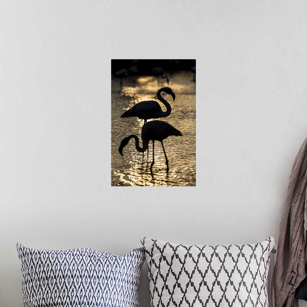 A bohemian room featuring Flamingos in silhouette on the water at sunset