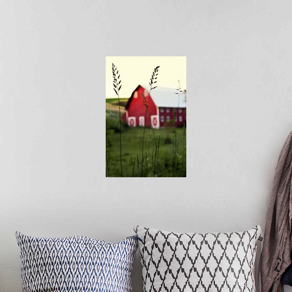 A bohemian room featuring Red barn and green wheat fields in the Palouse