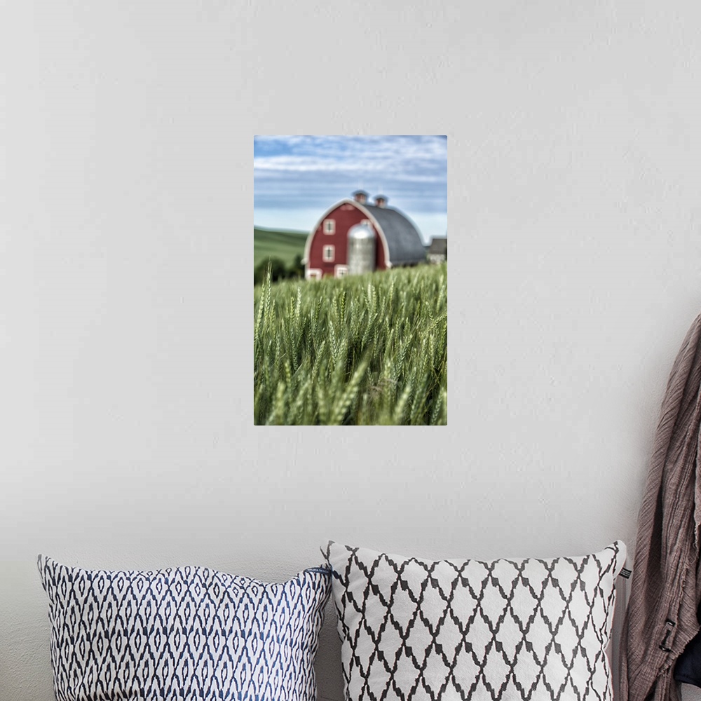 A bohemian room featuring Red barn and green wheat fields in the Palouse, Washington