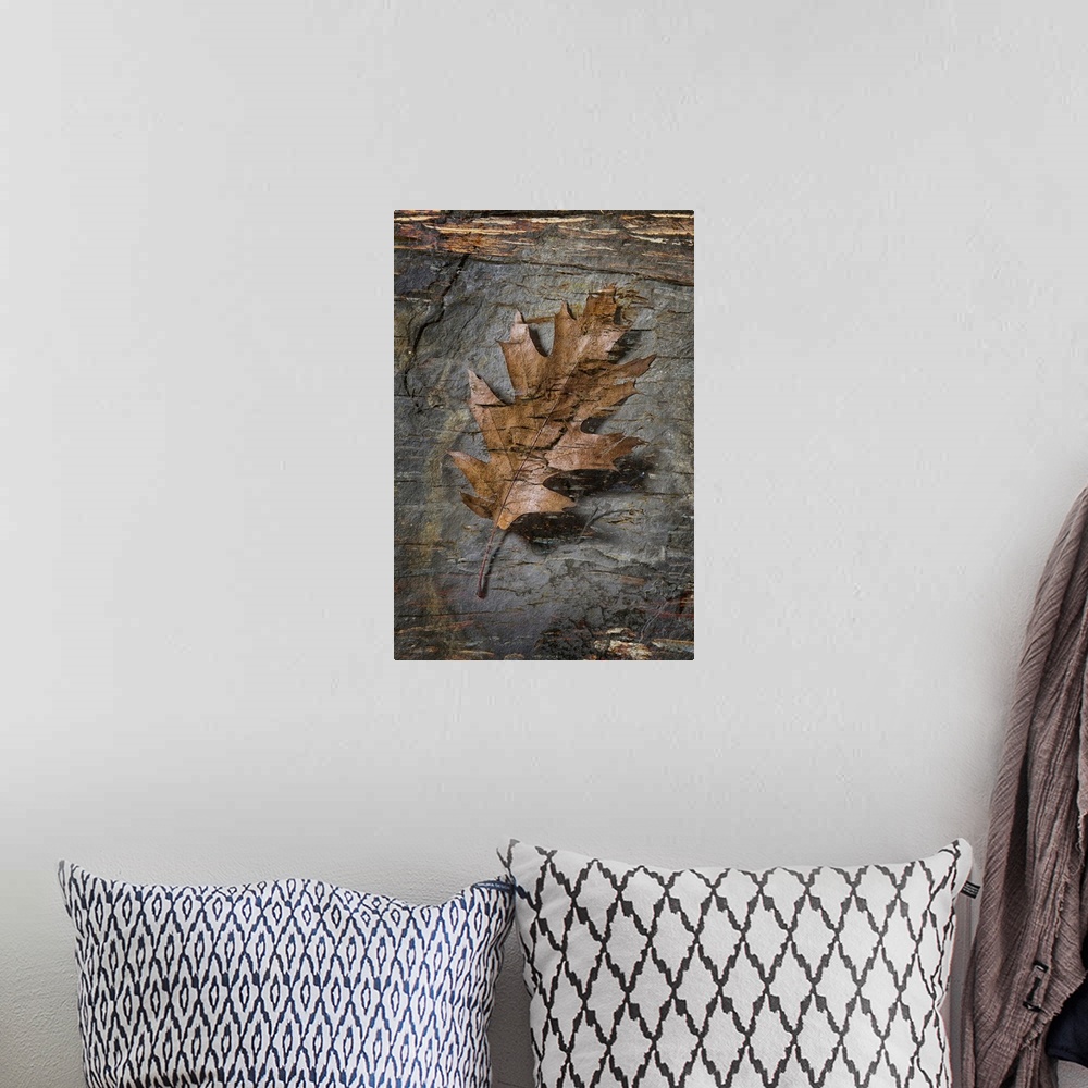 A bohemian room featuring Still life of a leaf with bark like texture superimposed over top.