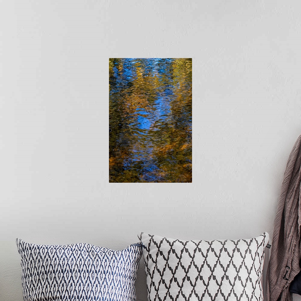 A bohemian room featuring River Reflection