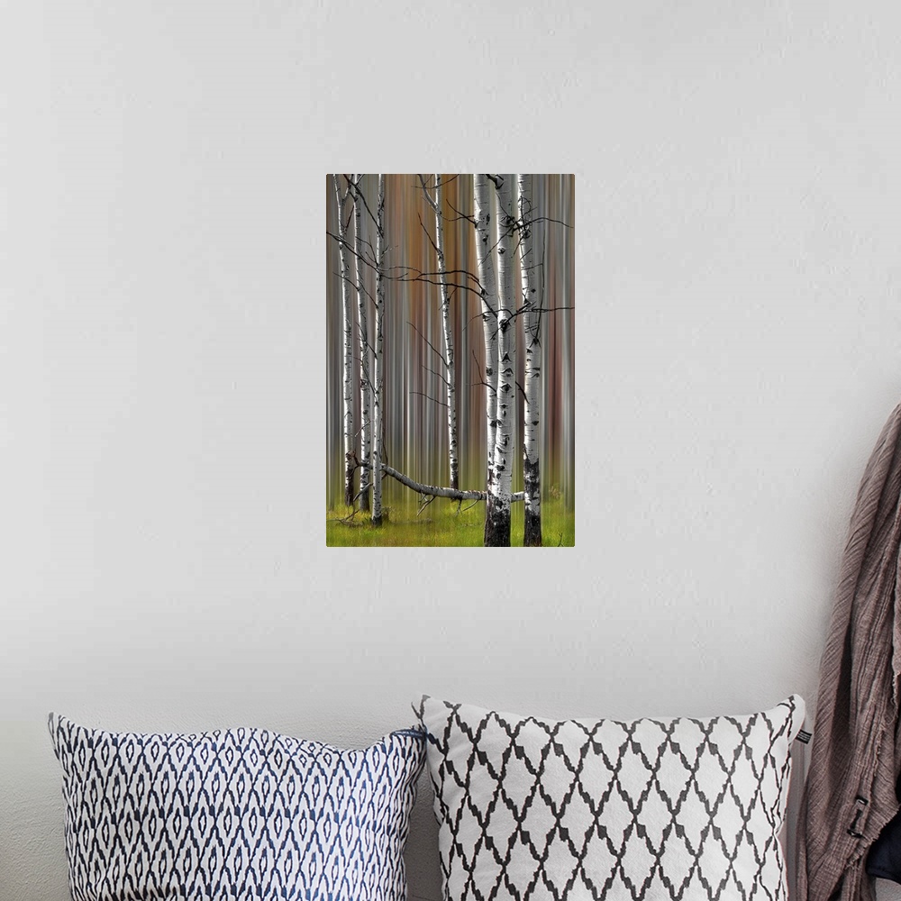 A bohemian room featuring A two image compilation of a stand of fall colored poplar trees creating the sense of motion in a...