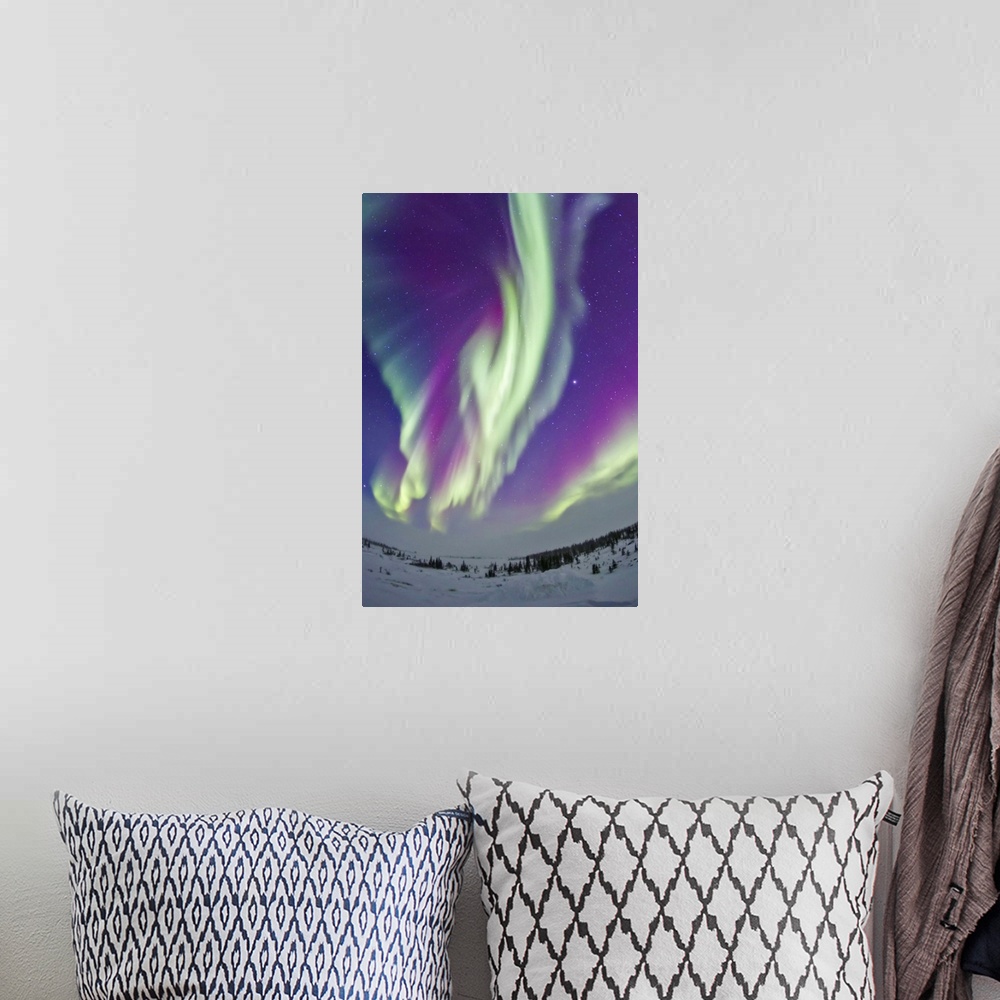 A bohemian room featuring February 16, 2015 - The Northern Lights in Churchill, Manitoba, Canada, at 58 degrees latitude, a...