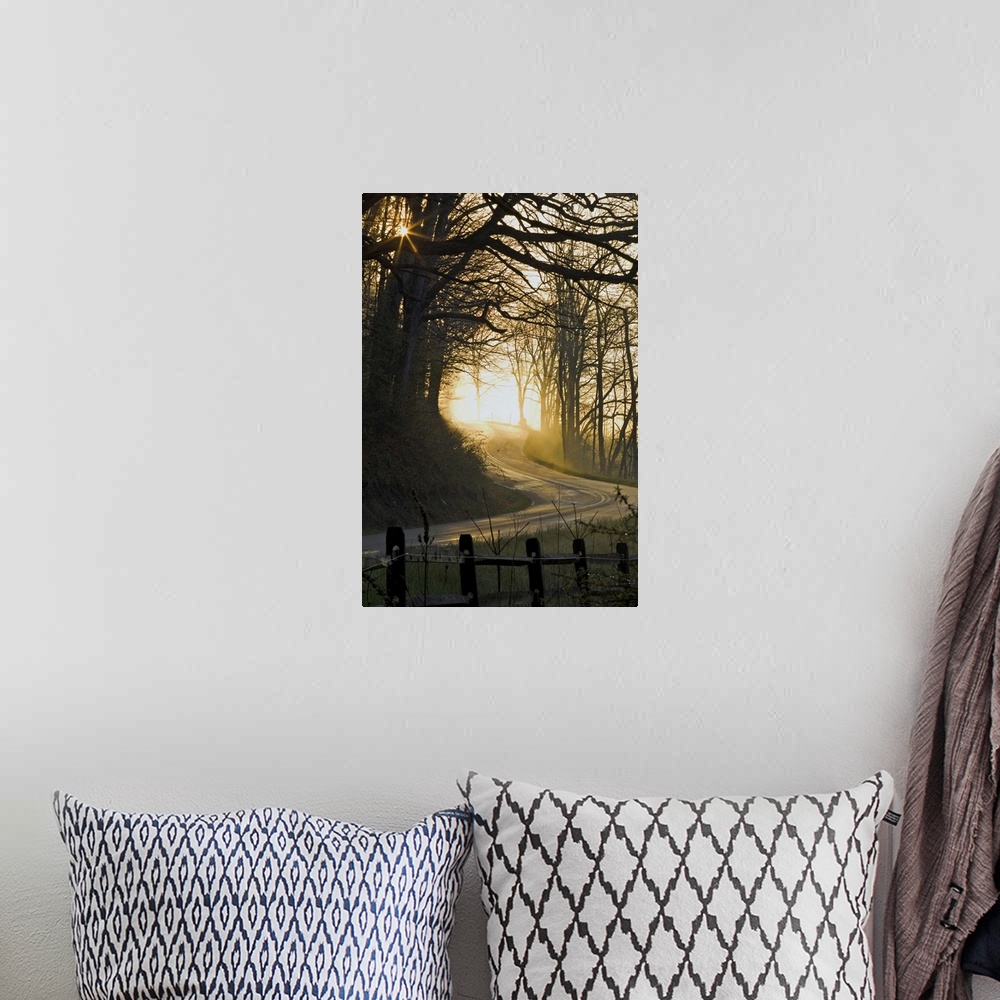 A bohemian room featuring The Road Less Traveled by Jim Crotty