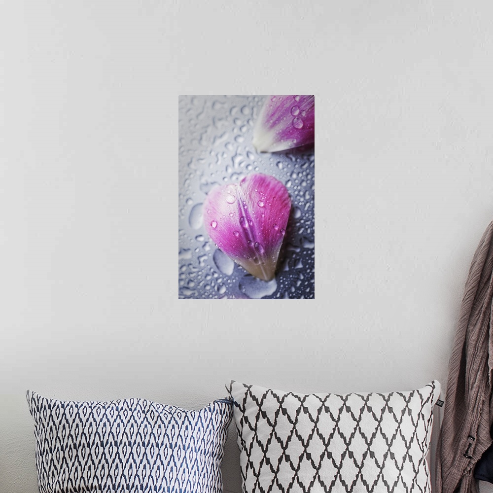 A bohemian room featuring Close up of water droplets on small flower petals.