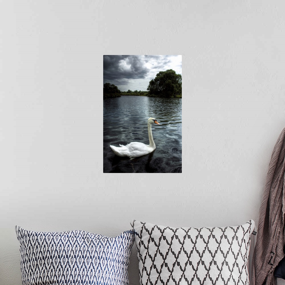 A bohemian room featuring A swan on the river