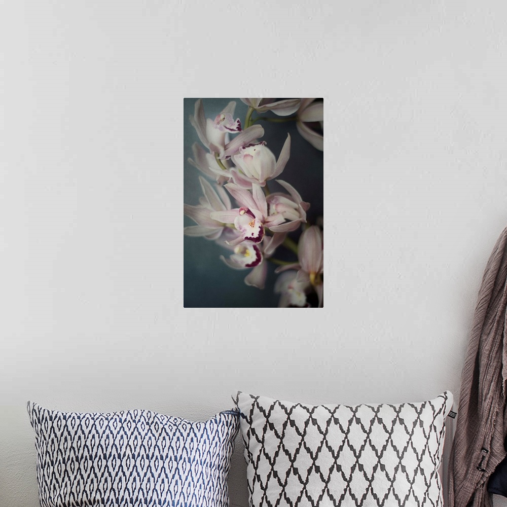 A bohemian room featuring A close-up photograph of pink orchids.