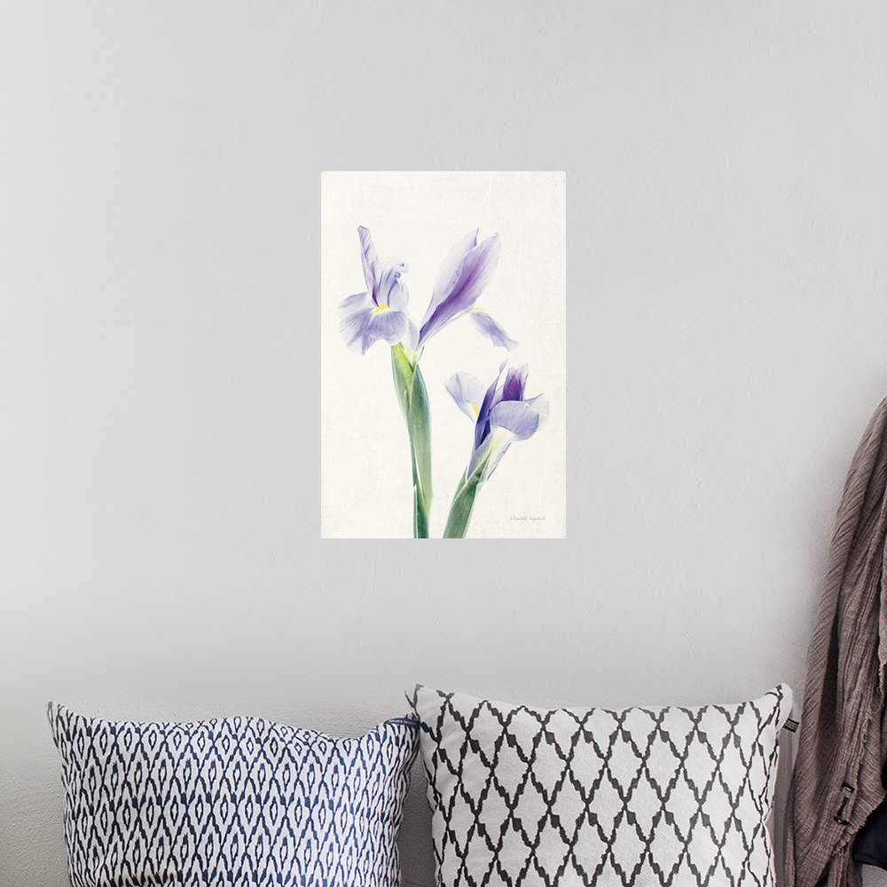 A bohemian room featuring Photograph of purple irises in muted tones that fade into the white background.