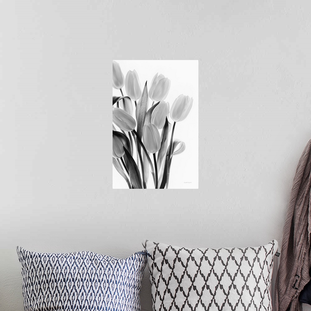 A bohemian room featuring Black and white still life photograph of a bouquet of tulips on a bright white background.