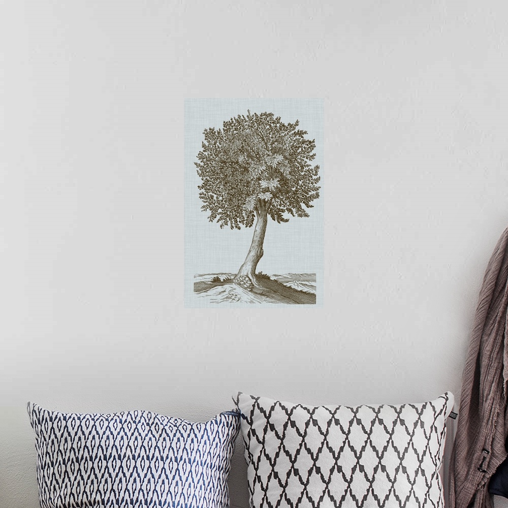 A bohemian room featuring This decorative artwork features an illustrative tree in sepia over a soft blue linen patterned b...