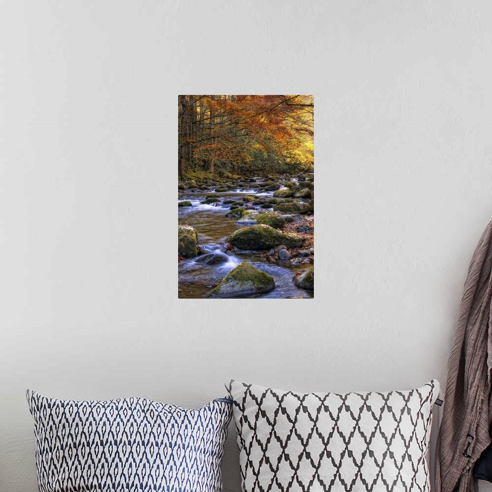 A bohemian room featuring Autumn on Little River