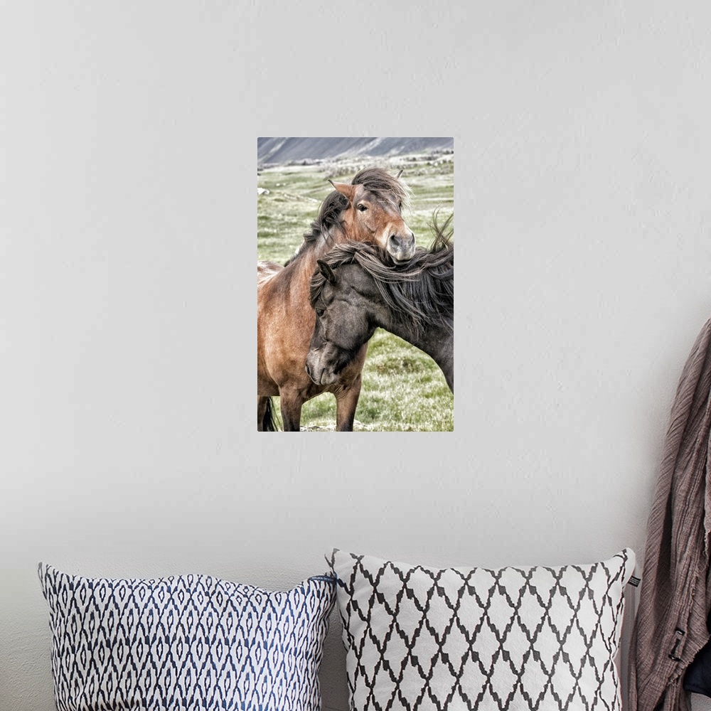 A bohemian room featuring Photograph of two horses in grassy field showing affection on windy day.