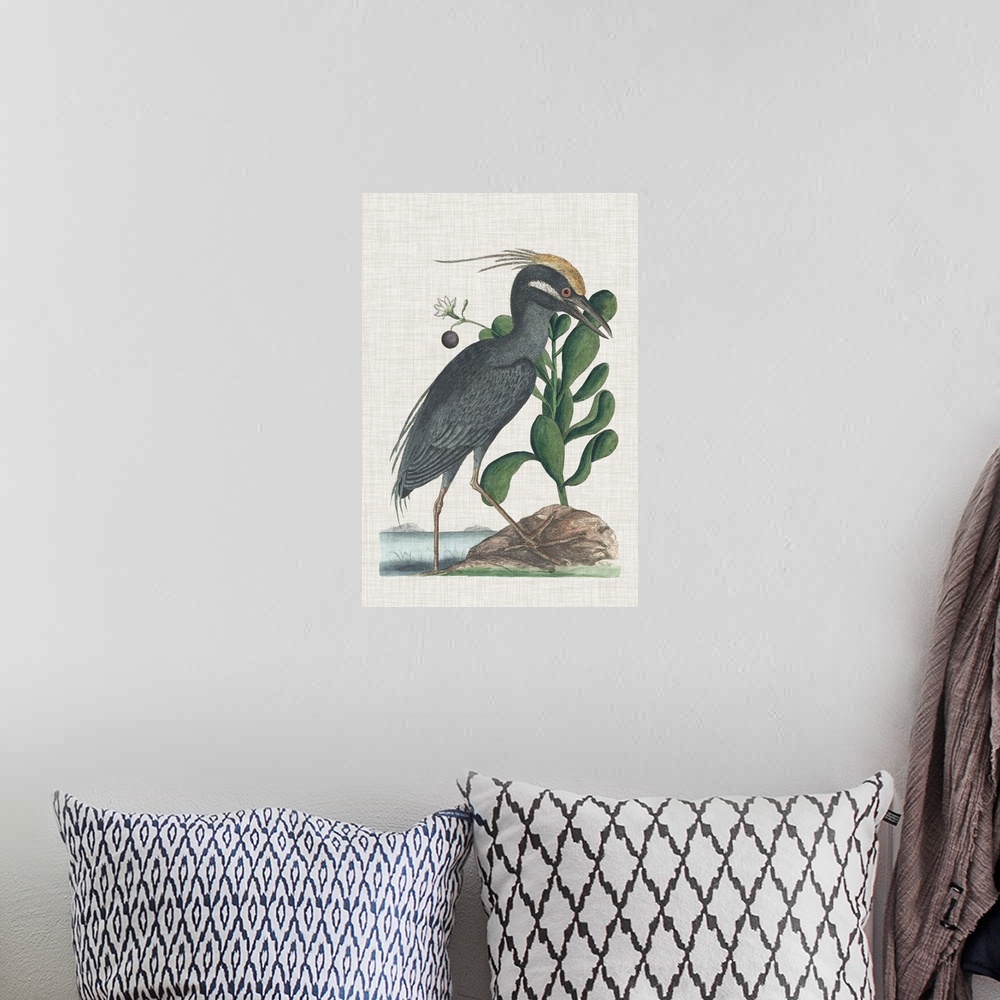 A bohemian room featuring Catesby Heron I