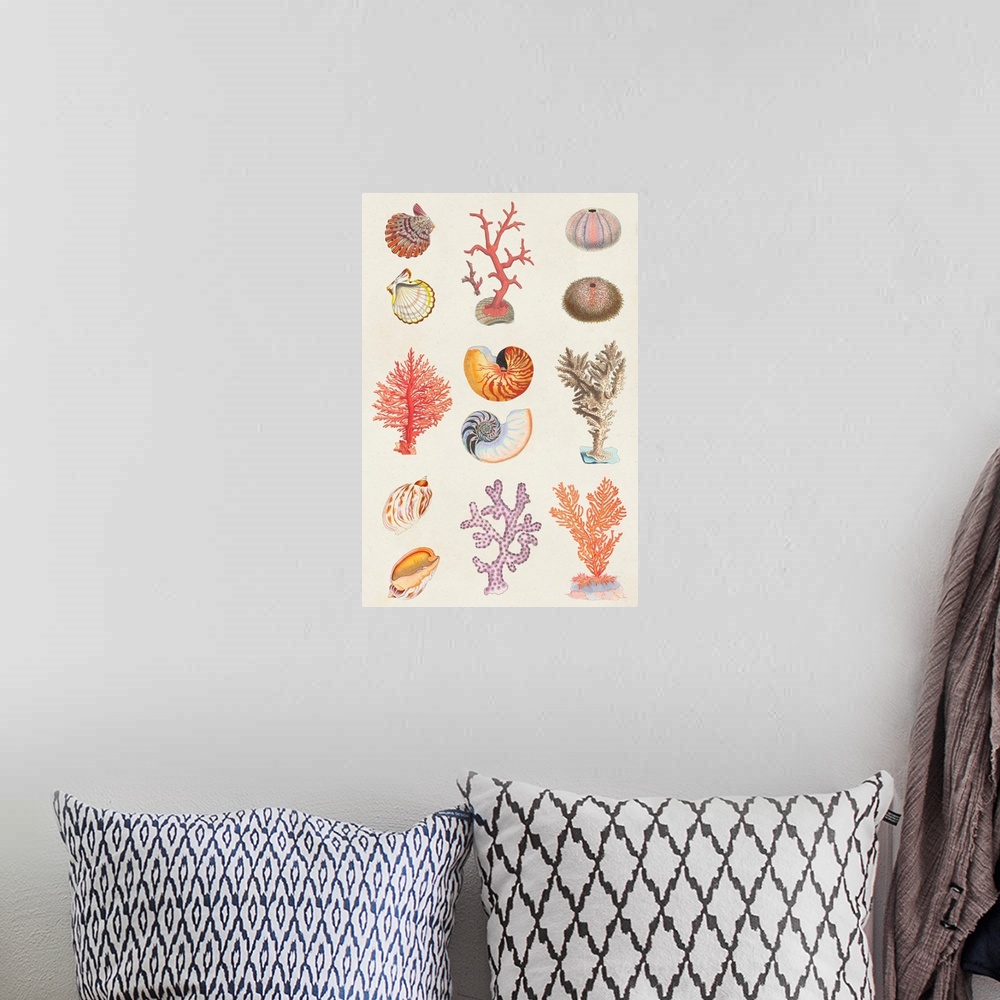 A bohemian room featuring Coral & Shell Collage I