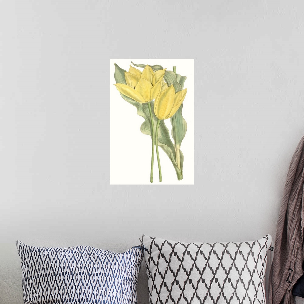 A bohemian room featuring Curtis Tulips II