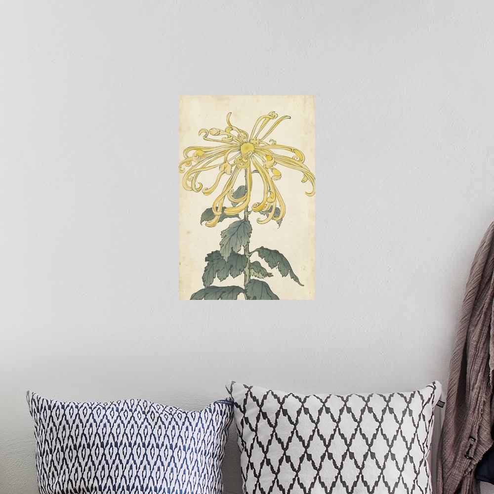 A bohemian room featuring Elegant Chrysanthemums II