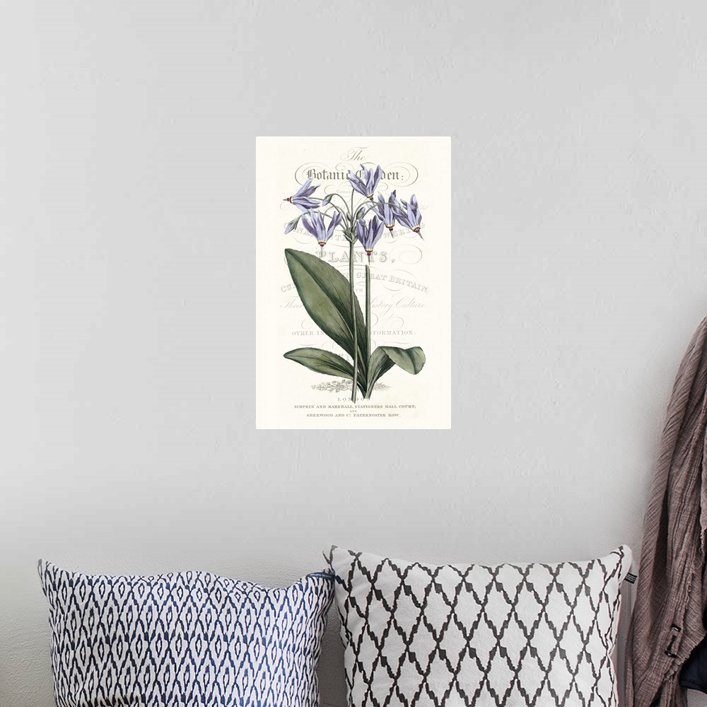 A bohemian room featuring This botanical illustration features a purple flower over decorative text on a neutral background.