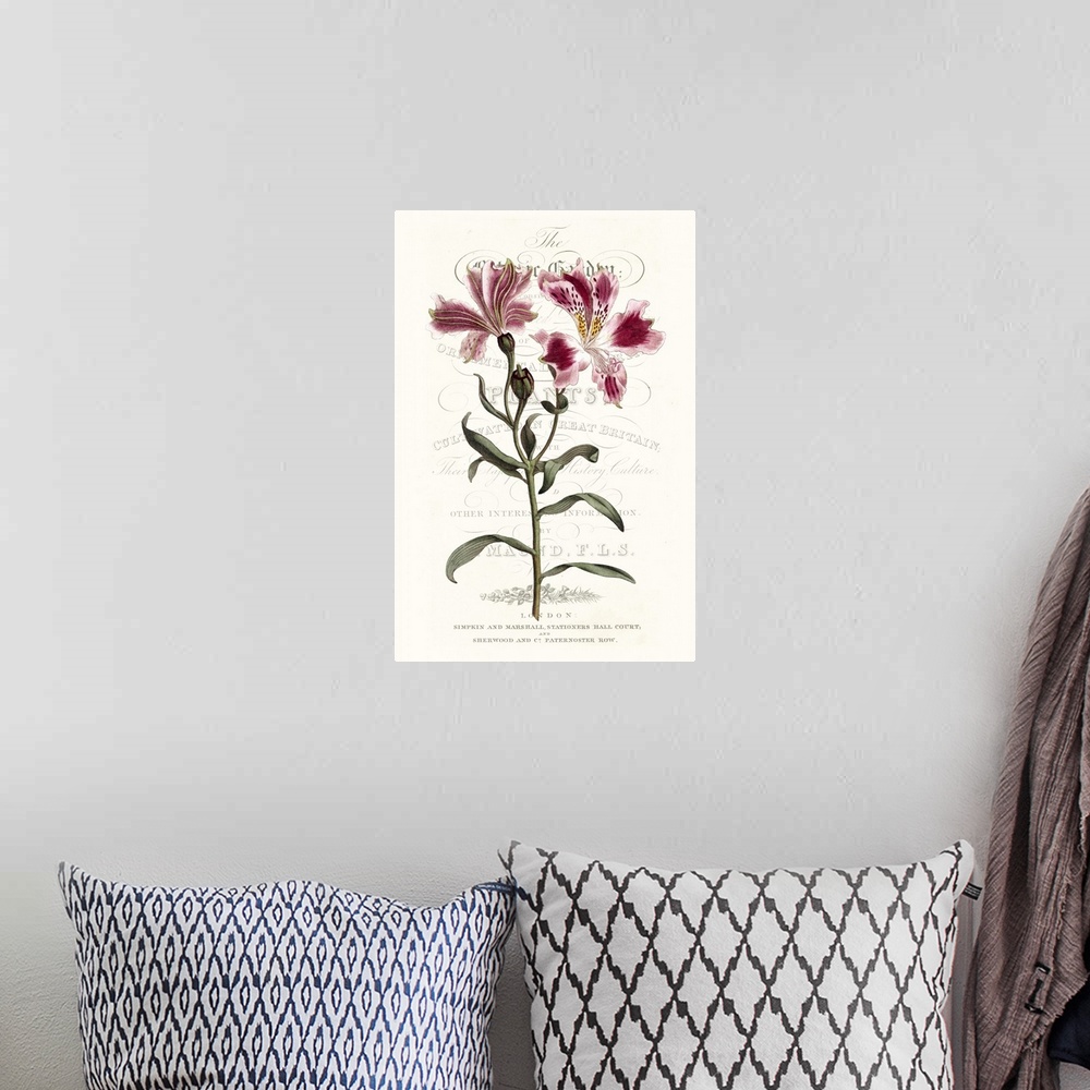 A bohemian room featuring This botanical illustration features a pink flower over decorative text on a neutral background.