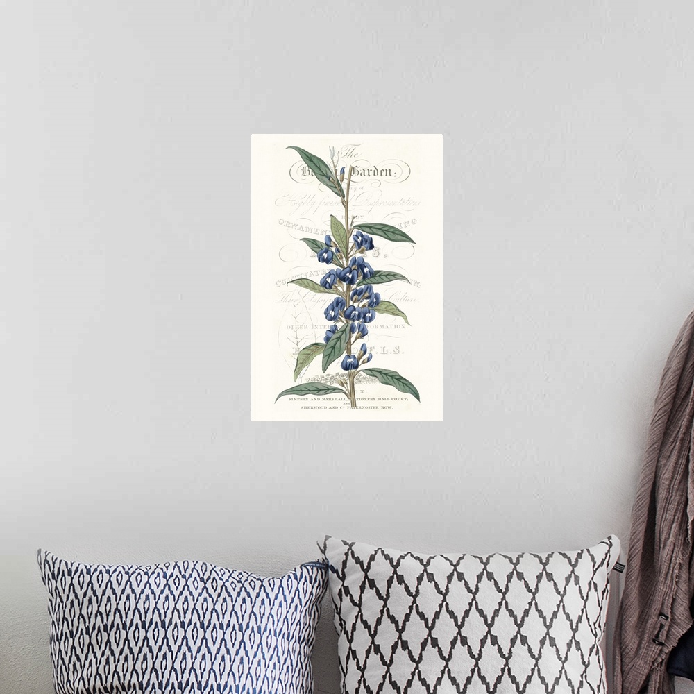 A bohemian room featuring This botanical illustration features a blue flower over decorative text on a neutral background.