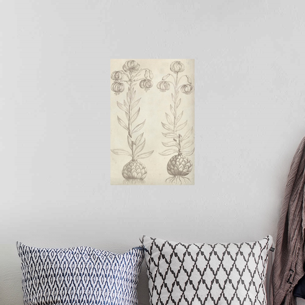 A bohemian room featuring This line illustration has a vintage feeling and features two plants showing the blossoms at the ...