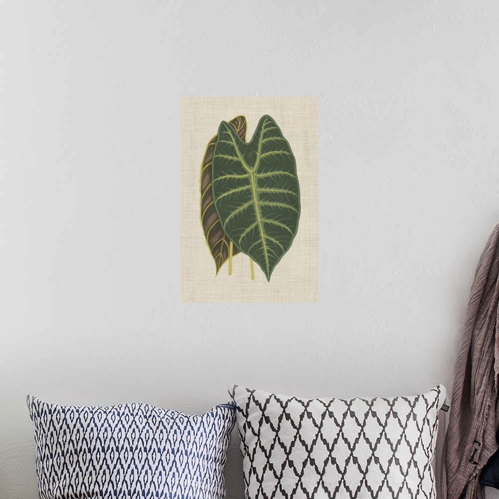 A bohemian room featuring This decorative artwork features an illustrated front and back view of a leaf with light green ve...