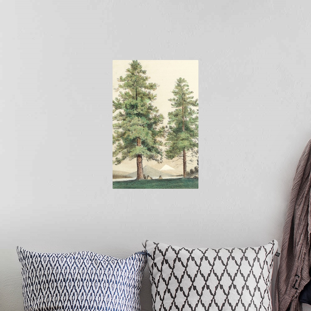 A bohemian room featuring Majestic Pine II